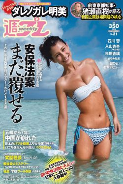 最佳拍档1:光头神探